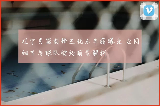 辽宁男篮前锋王化东年薪曝光 合同细节与球队续约前景解析