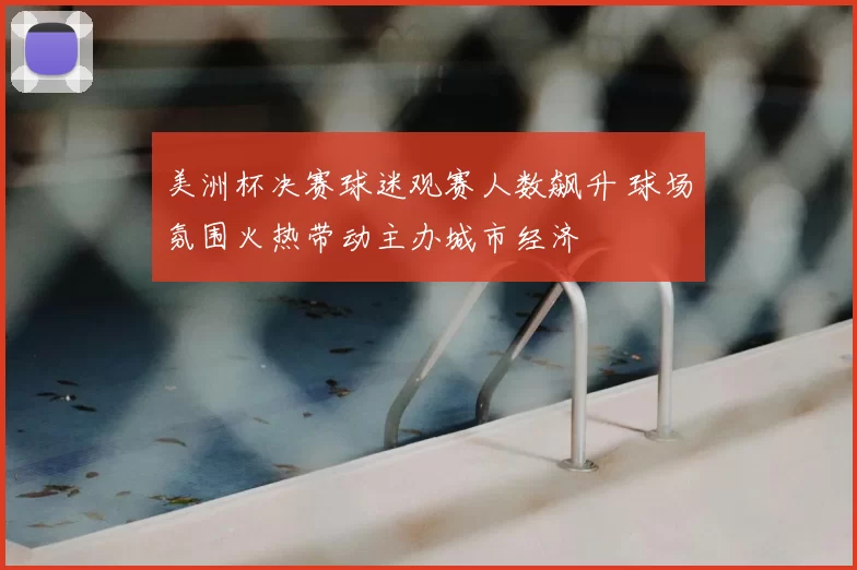 美洲杯决赛球迷观赛人数飙升 球场氛围火热带动主办城市经济